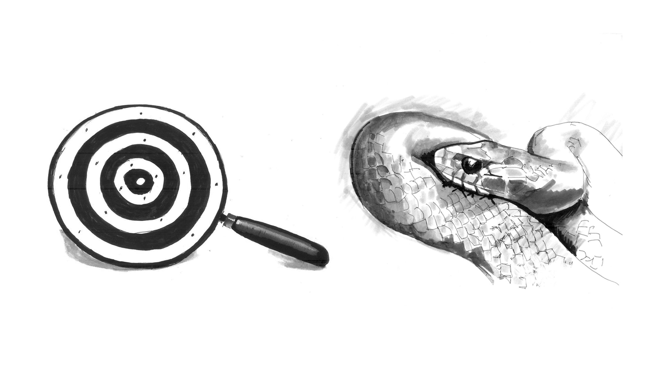 Magnifying glass and snake realistic black and white sketch