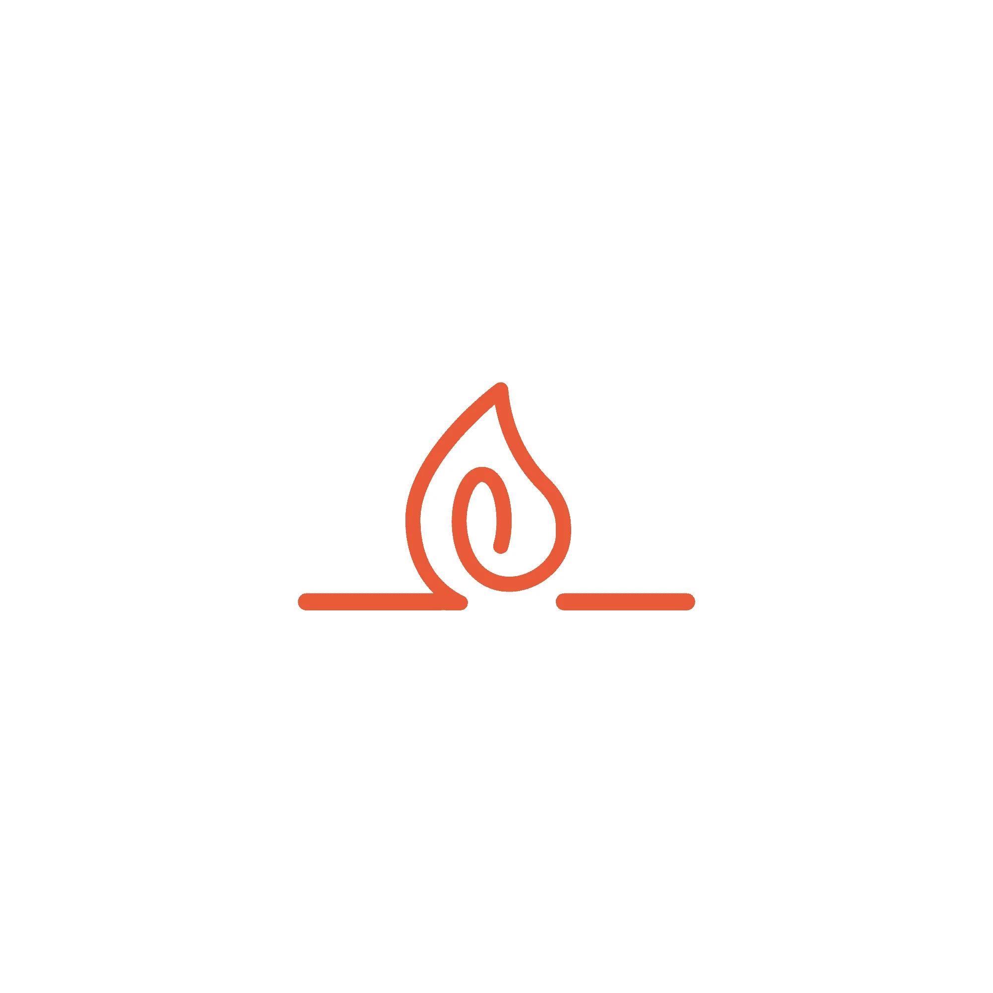 Branding logo design flame